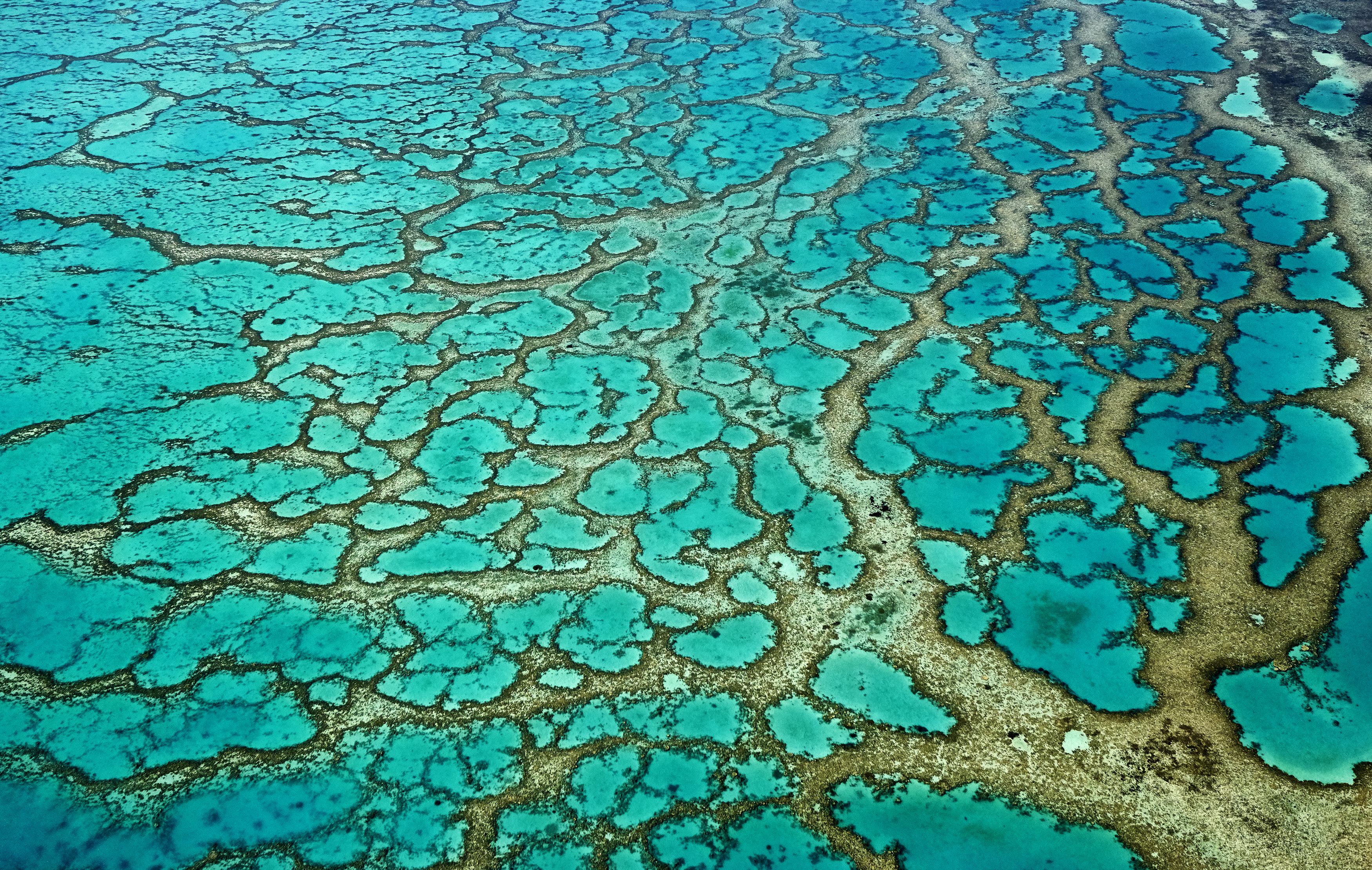 Knowledge Systems, Human Rights and Inclusive Approaches